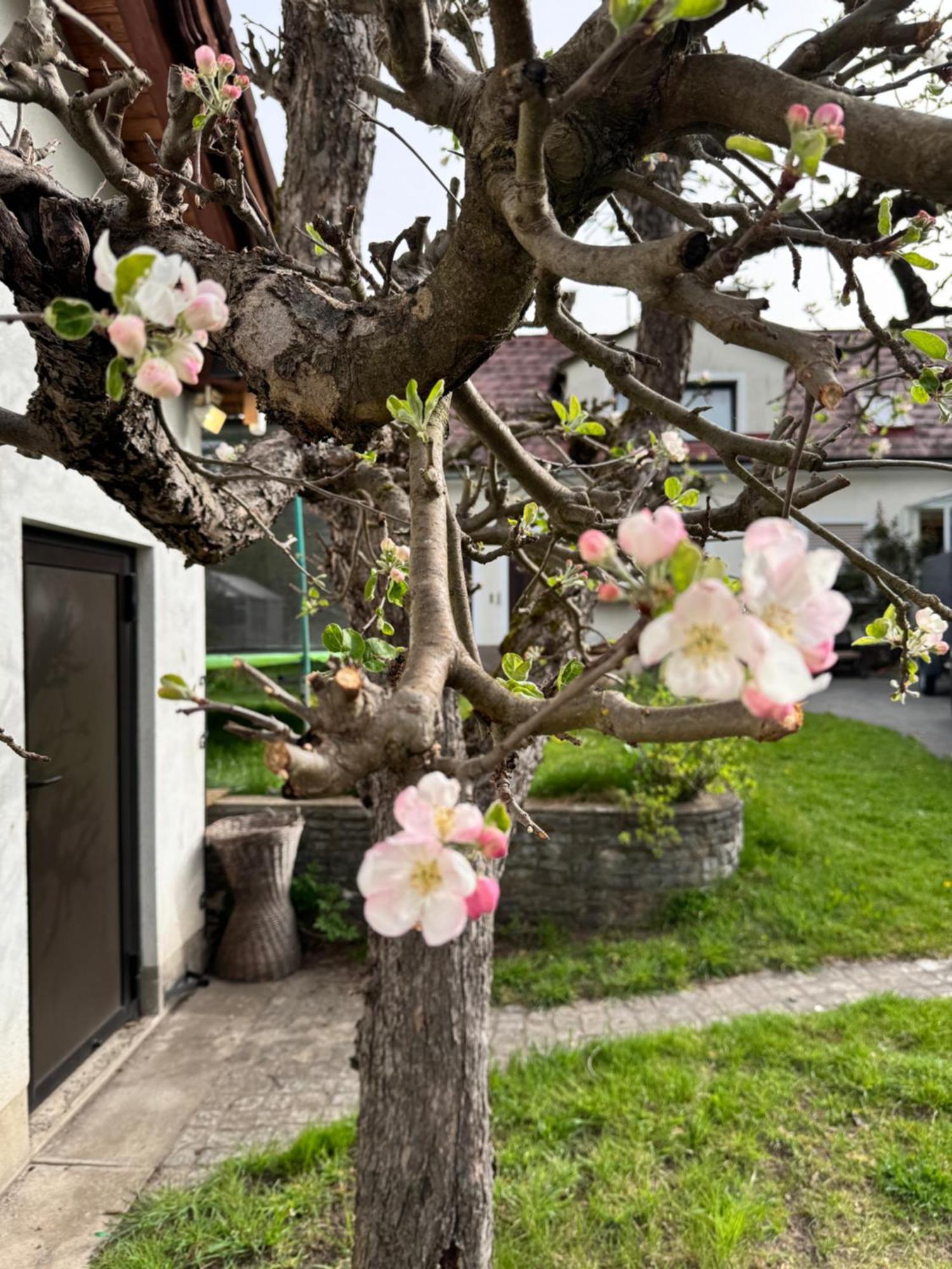 Ferienwohnung Haus Gruber - Valentina & Gabriel In Der Waldheimat Krieglach Exterior foto